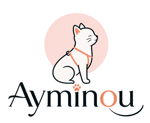 Logo Ayminou